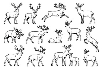Fototapeta premium Hand drawn line art deer set featuring stags in various poses and a fawn for wildlife and forest designs