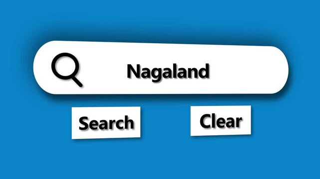 Search bar displaying Nagaland with search and clear buttons on blue background magnifying glass text