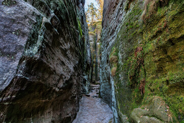 Majestic canyon pathway with moss-covered rock formations and sunlit tree canopy