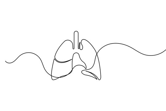 Human lungs one line art drawing with minimalist outline for medical and health concept