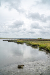 Coastal Marsh Landscape at Assateague Island