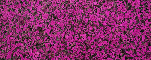 Obraz premium Red granite with black spots