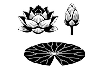 Elegant black and white botanical illustration set featuring a blooming lotus flower, a delicate bud, and a broad lily pad, perfect for design elements representing purity, nature, and tranquility