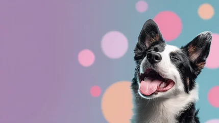 Fotobehang Dierenarts Happy Dog Enjoys Pet Food Against a Soft Pastel Backdrop With Light Circles Representing Joy in a Modern Advertising Style  © Anat art