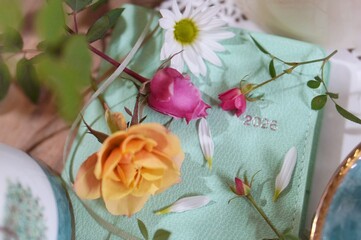 pink roses on a wooden background