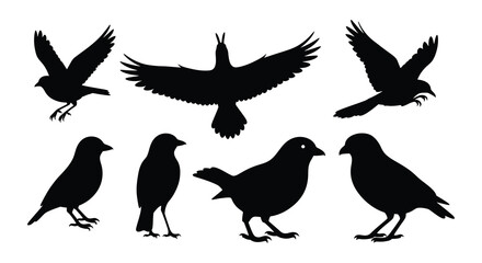 Obraz premium Silhouettes of various birds in flight and perched positions depicted in black