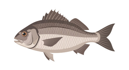 Obraz premium A graphic depiction of a freshwater or saltwater fish, showcasing its distinct biological form and texture, perfect for educational content or