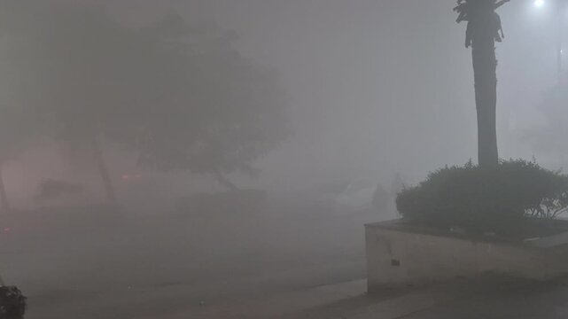 A heavy fog envelops a quiet nighttime roadway, with dim streetlights diffusing through the mist, trees and shrubs barely visible, and the scene softened into muted gray tones.