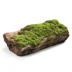 A piece of moss-covered log isolated on a white background, a photorealistic image.