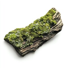 A piece of moss-covered log isolated on a white background, a photorealistic image.