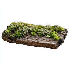 A piece of moss-covered log isolated on a white background, a photorealistic image.