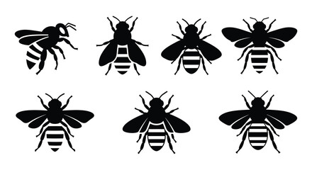 A collection of detailed black and white bee and wasp illustrations © nurjahan