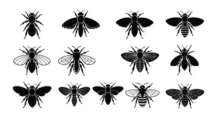A collection of detailed black and white bee and wasp illustrations © nurjahan