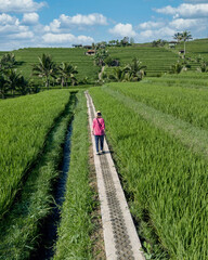 Woman Walking Along Rice Field Path In Ubud Bali, Aerial View Of Lone Traveler In Pink Dress On Narrow Stone