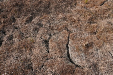 Closeup of parched cracked soil surface texture