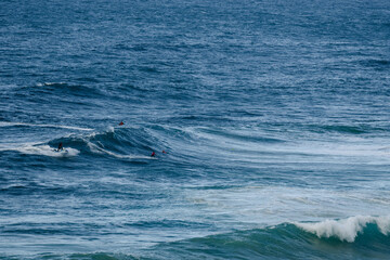 Fototapeta premium Surfers ride large ocean waves with several surfers paddling and waiting in blue sea