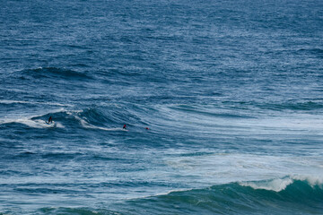 Fototapeta premium Surfers riding large ocean waves together, distant riders in turquoise sea
