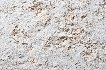 Obraz premium Wall panel made from renewable bio-materials in a modern space