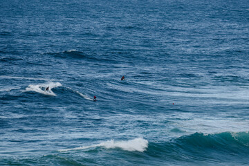 Fototapeta premium Surfers ride powerful blue waves in the ocean, capturing dynamic coastal sport action