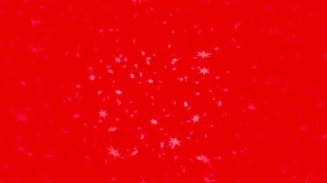 White snowflakes being lit up and falling down on red background. Abstract background for Merry Christmas, Happy Holidays, Season's greetings, Happy Valentine's day and wedding ceremony.