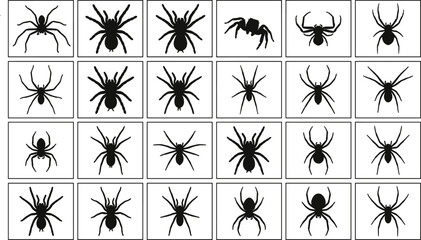 Spider silhouettes vector illustration, black spider shapes on white squares, creepy crawly design, editable insect clipart, posture variation grid, entomology theme, visual puzzle © MSTIRIN