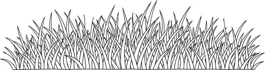 Vector Illustration of Lush Green Grass Border Natural Background Element © P-Studio