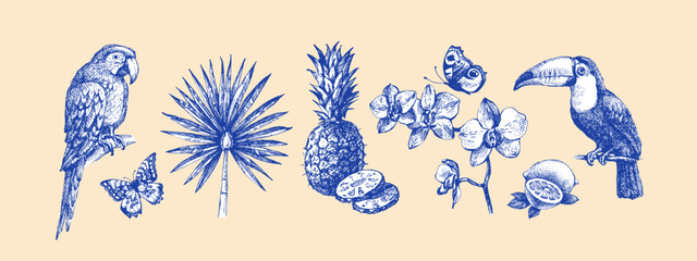 Vintage tropical exotic set. Parrot, toucan, tropical leaves, orchid, butterflies. Coffee, restaurant, food packaging, event decor concept. Hand drawn sketch vector illustration. © pim