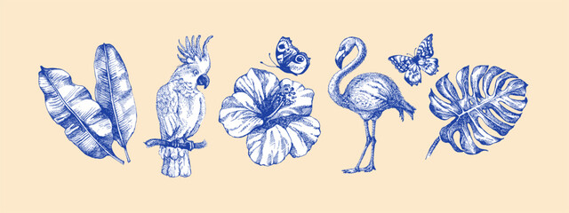 Vintage tropical exotic set. Parrot, toucan, tropical leaves, orchid, butterflies. Coffee, restaurant, food packaging, event decor concept. Hand drawn sketch vector illustration. © pim