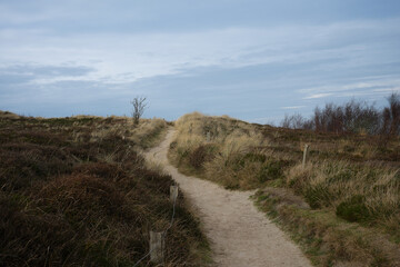 Ein Wanderweg in der Heidelandschaft der Nordseek&uuml;ste.