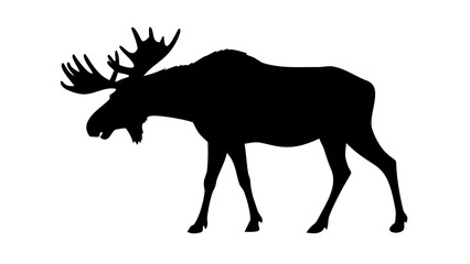 Fototapeta premium Large Moose Bull Silhouette with Antlers Standing Side Profile Vector Art