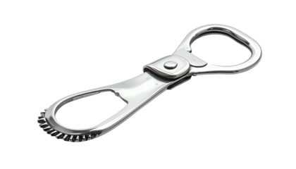 Shiny metallic clasp with two open loops joined by a swivel