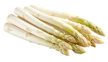 Close-up of a bunch of fresh, white asparagus spears on a transparent background