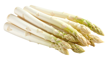 Close-up of a bunch of fresh, white asparagus spears on a transparent background