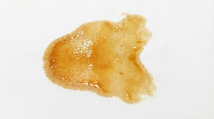 Grease stain with semi-transparent oil texture, isolated on a white background
