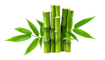 A bundle of green bamboo stalks with leaves against a black backdrop