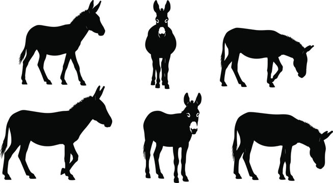 Set of donkey silhouettes, domestic farm animal icons, grazing mule and jackass livestock, beast of burden shapes, rural agriculture vector, equine wildlife.