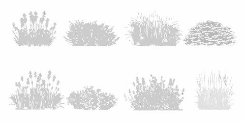 A collection of grayscale shrub and grass silhouettes on a white background © Lolita