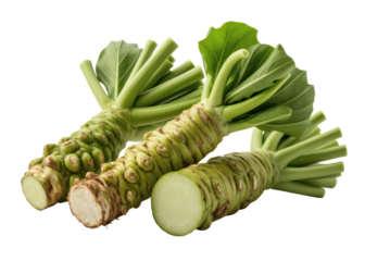 Fresh horseradish roots with green leaves on white isolated on transparent background
