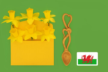 Welsh daffodil bouquet in envelope with heart shape love spoon and national flag, not copyrighted. Traditional symbols of Wales for St Davids Day greeting card.