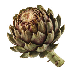 Obraz premium Artichoke vegetable food isolated on a transparent background