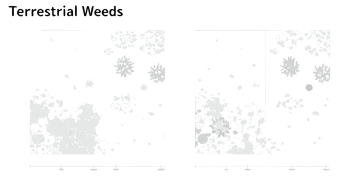Abstract representation of scattered plant life or weed distribution patterns