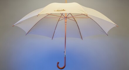 Elegant White Umbrella Studio Shot: Stylish Rain Protection for Various Weather Conditions, Seasonalities, and Outdoor Events