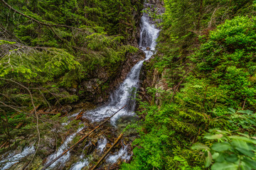 Fototapeta premium Powerful mountain stream flowing through a dense coniferous forest in the High Tatras. Kmetov waterfall (Kmeťov vodopád) surrounded by mossy rocks and fallen trees in the Nefcerka valley, Slovakia.
