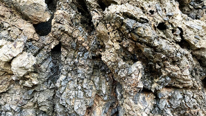 自然の造形が美しい岩のテクスチャ