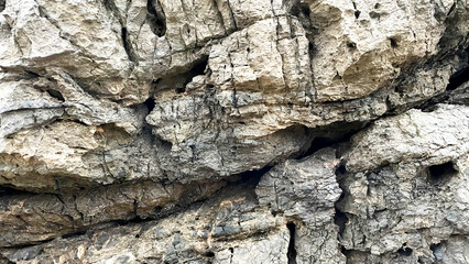 自然の造形が美しい岩のテクスチャ