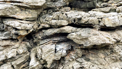 自然の造形が美しい岩のテクスチャ