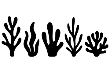 Obraz premium vector illustration of Seaweed Coral , Seaweed Coral Silhouette – Black Vector Icon for Ocean & Reefs