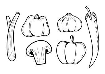 hand drawn vegetable line art illustration set