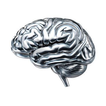 3d metallic chrome human brain over clear background , mind, head