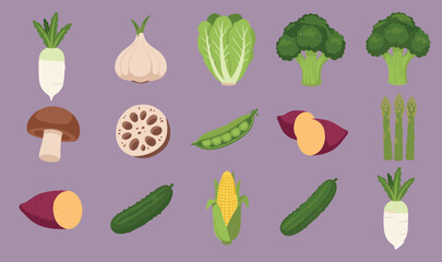 Vegetable icon grid illustration, stylized food set, daikon lotus root corn, purple background graphic, flat vector design, culinary reference